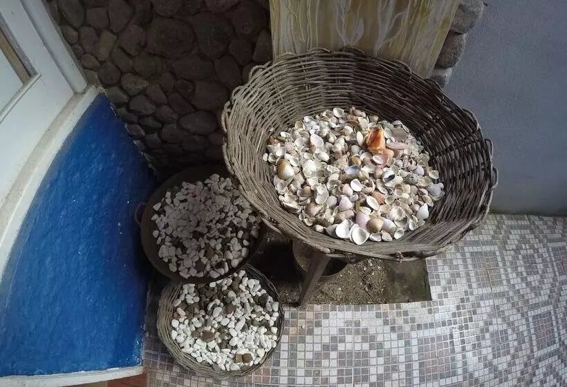 پانسیون Golfinho Tropical Hostel E Pousada