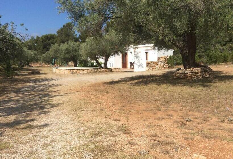 פנסיון Casa Pineda