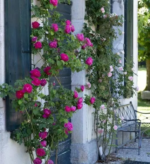 ペンション La Villa Palladienne   Château De Syam