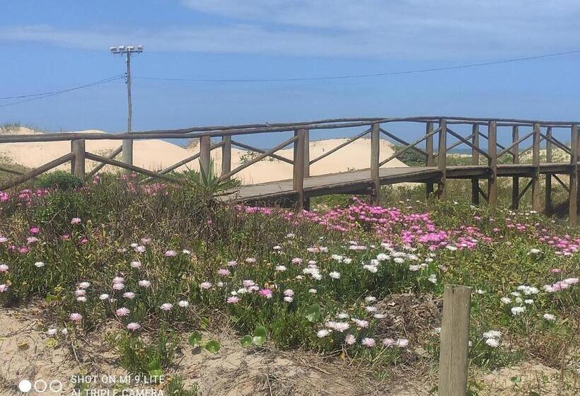 بنسيون Pousada Brisamar Morro Dos Conventos
