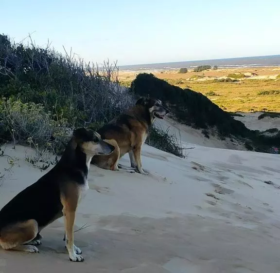ペンション Pousada Brisamar Morro Dos Conventos
