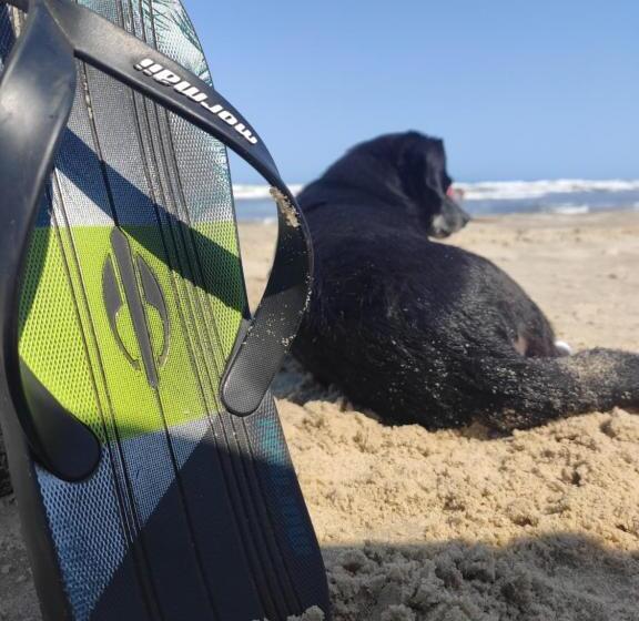 بنسيون Pousada Brisamar Morro Dos Conventos