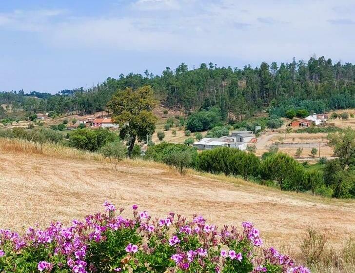 بنسيون Quinta Do Feonix