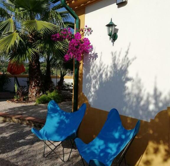 بنسيون Quinta Do Feonix