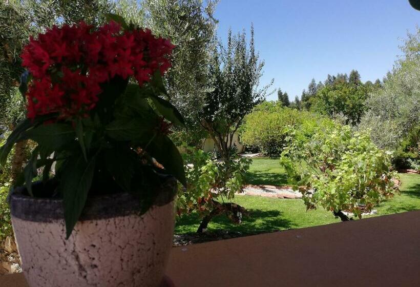 بنسيون Quinta Do Feonix