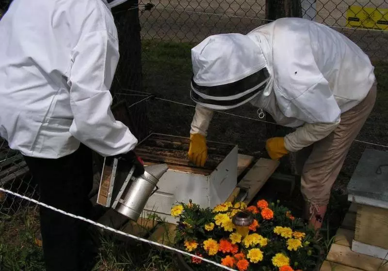 Bell Mountain Motel McBride