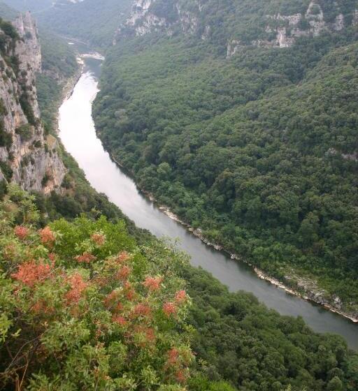 Отель Du Centre