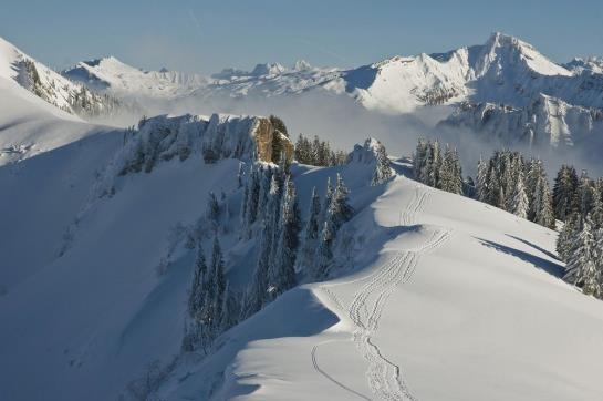 호텔 Gasthof Hirschen