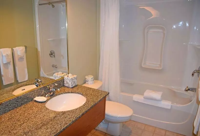 酒店 Stone Gate Inn