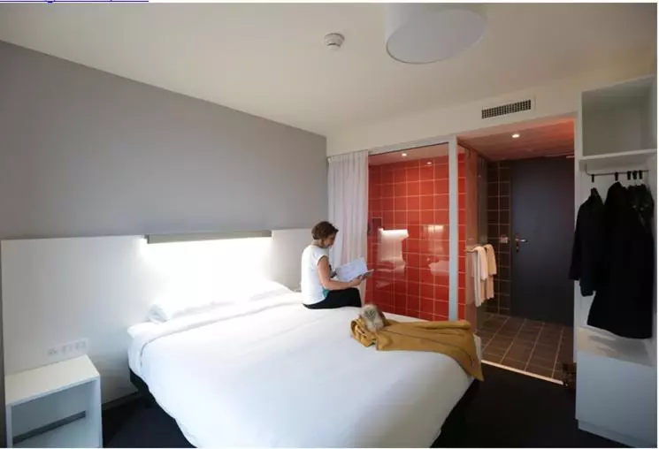 Le Nex Hotel Tarbes 