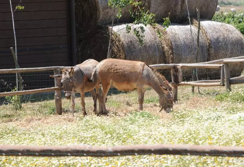 Popilia Country Resort