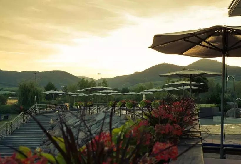 אתר נופש Barriere Ribeauville