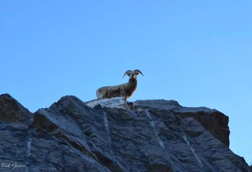 Resort Sunset Mountain Inn