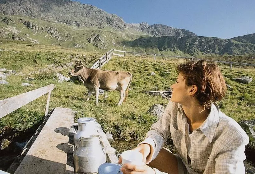 T3 Gasthof Spullersee