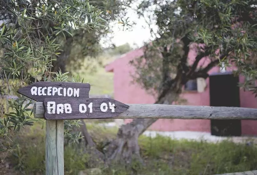 El Refugio De Alamut