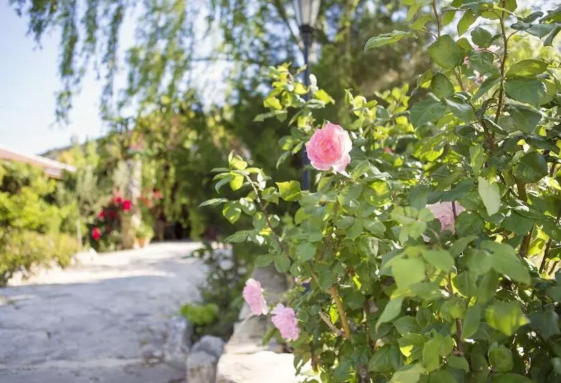 El Refugio De Alamut