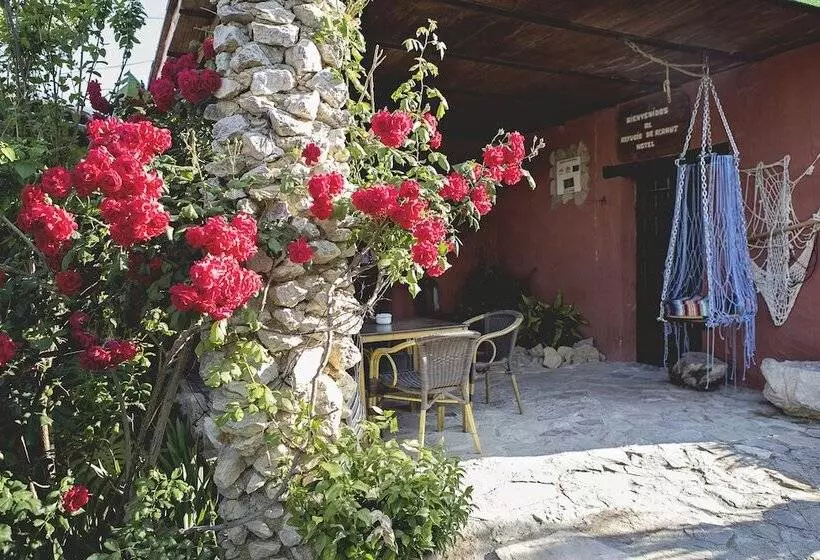 El Refugio De Alamut