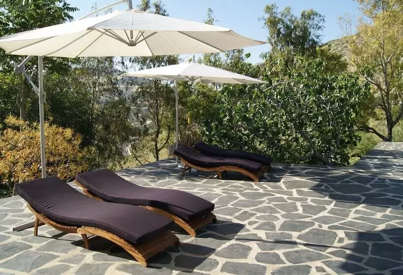 El Refugio De Alamut