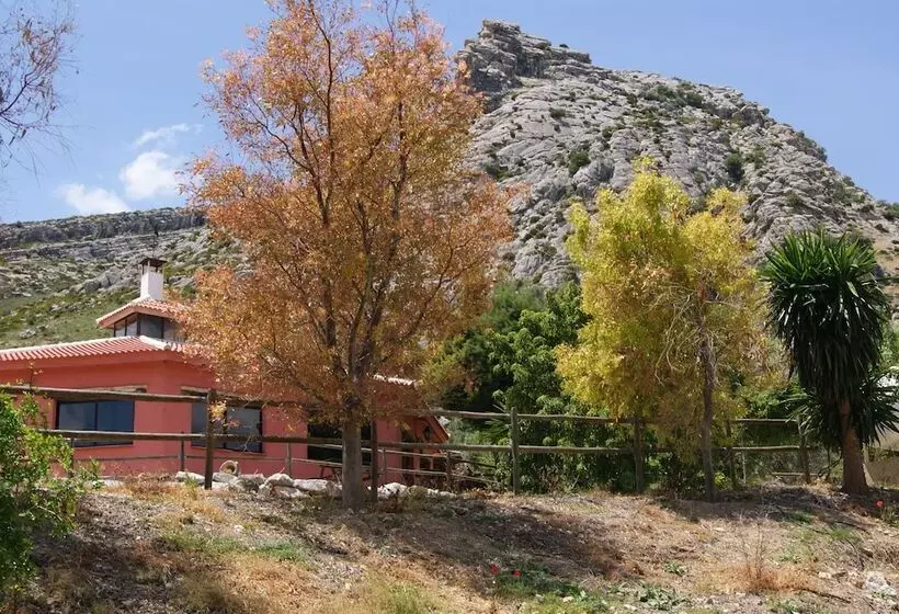 El Refugio De Alamut