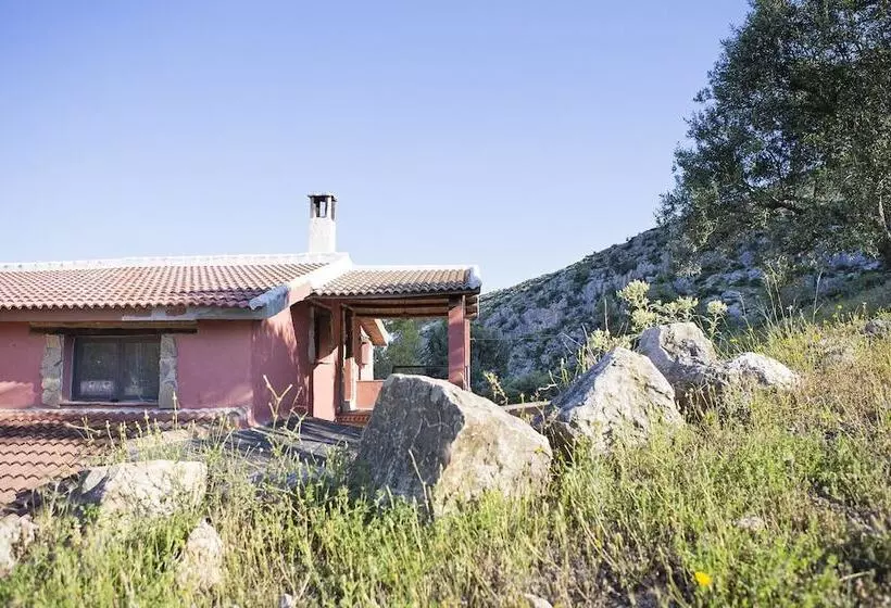 El Refugio De Alamut