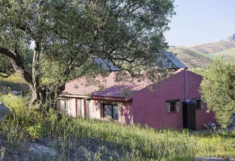 El Refugio De Alamut