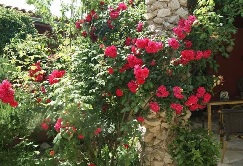 El Refugio De Alamut