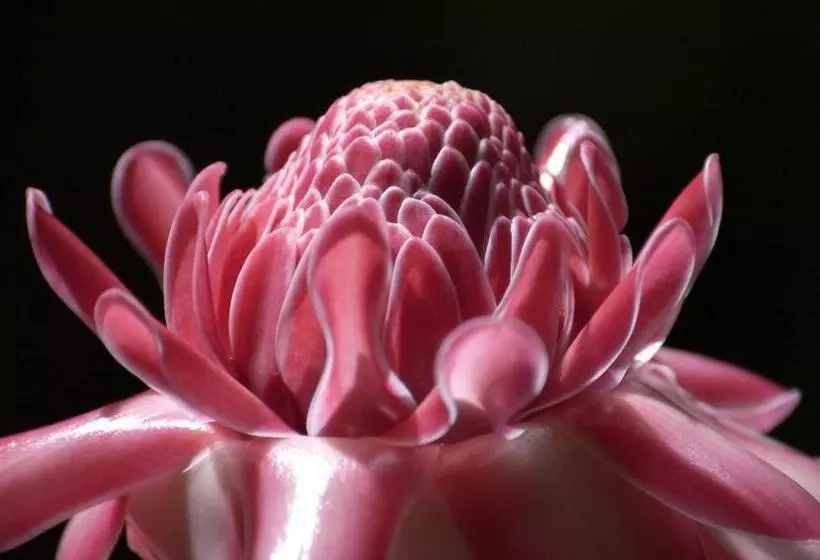 هتل Hôtel Kadiandoumagne