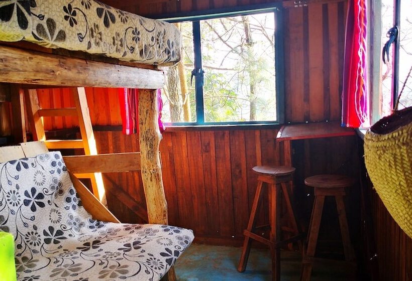 هتل Cabañas Campamento Tlatempa Hostel