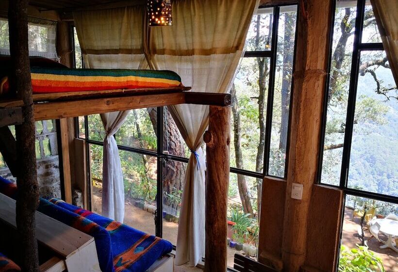 هتل Cabañas Campamento Tlatempa Hostel