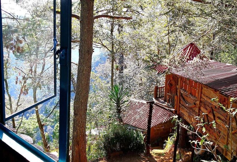 هتل Cabañas Campamento Tlatempa Hostel