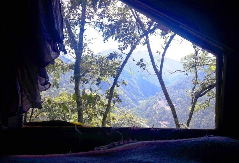 هتل Cabañas Campamento Tlatempa Hostel