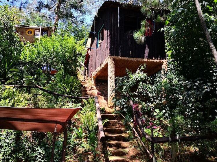 هتل Cabañas Campamento Tlatempa Hostel
