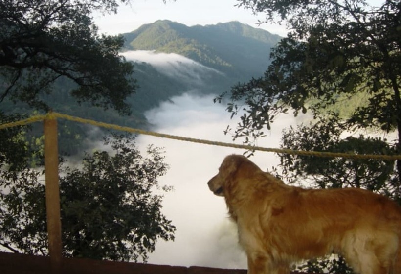 هتل Cabañas Campamento Tlatempa Hostel