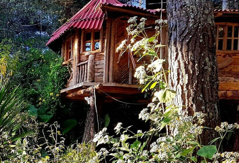 هتل Cabañas Campamento Tlatempa Hostel