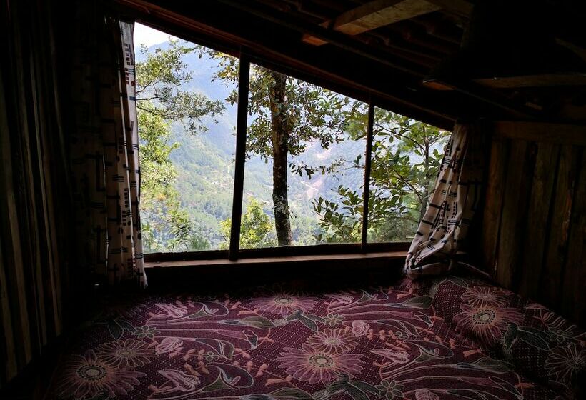 هتل Cabañas Campamento Tlatempa Hostel