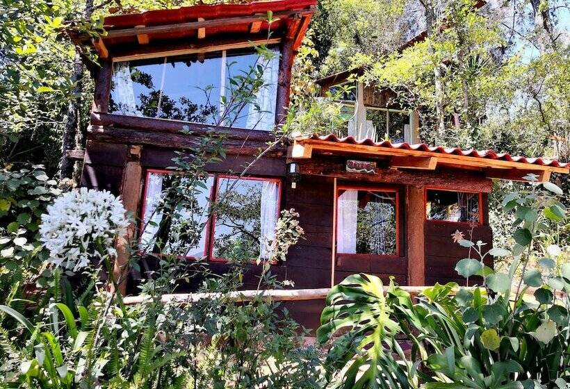 هتل Cabañas Campamento Tlatempa Hostel