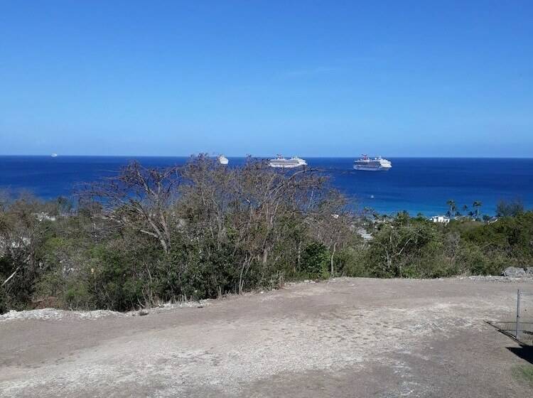 هتل Winchelsea Guesthouse