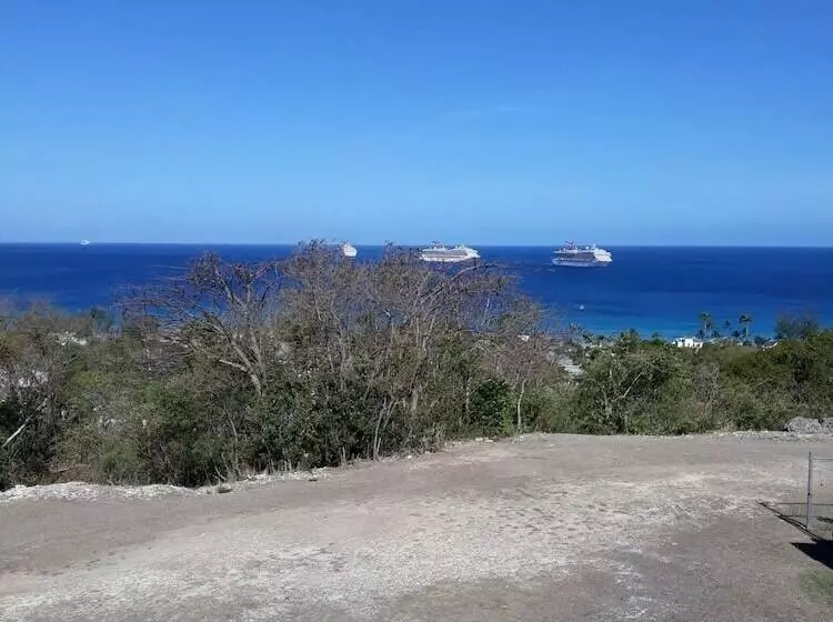 هتل Winchelsea Guesthouse