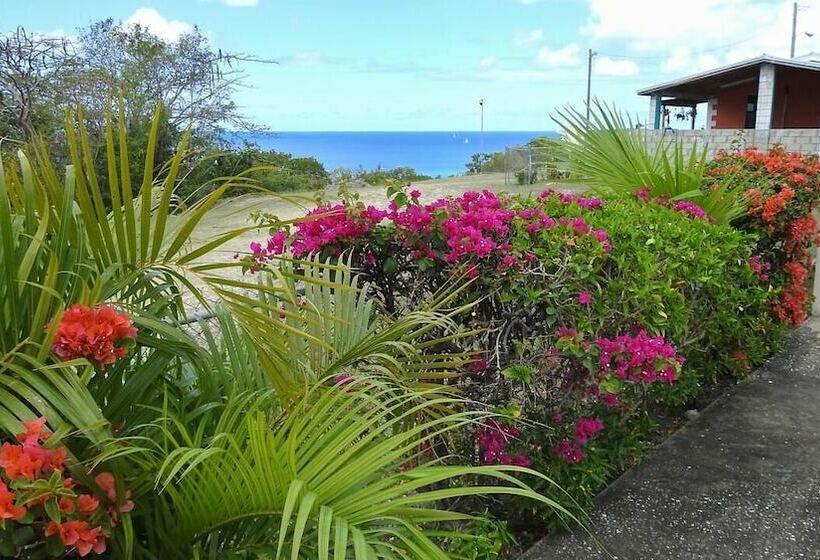 هتل Winchelsea Guesthouse