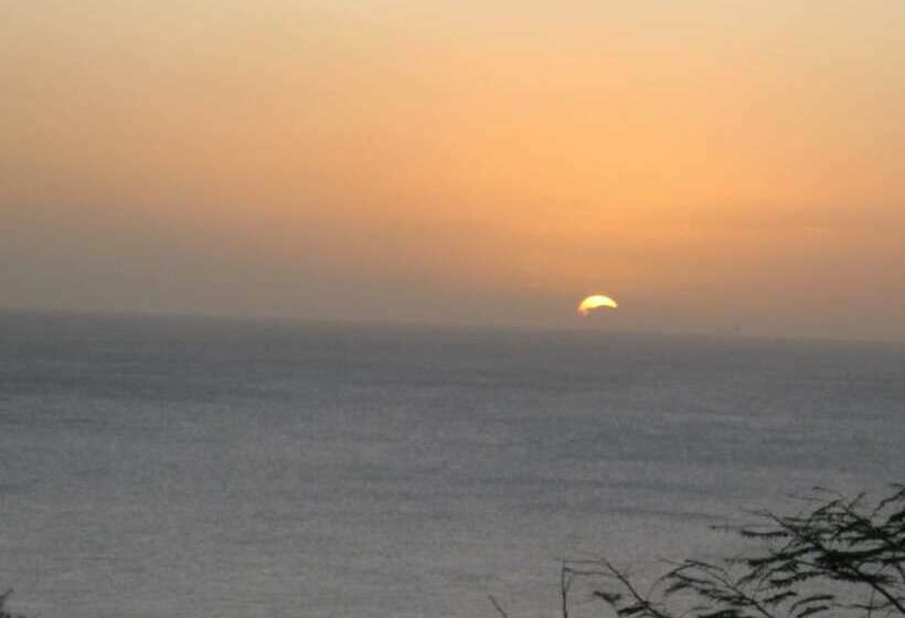 هتل Winchelsea Guesthouse