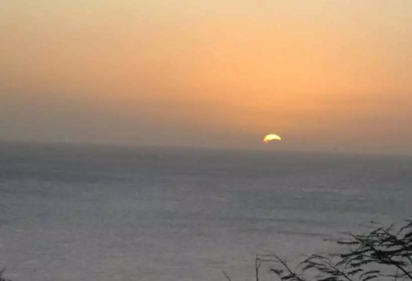 هتل Winchelsea Guesthouse