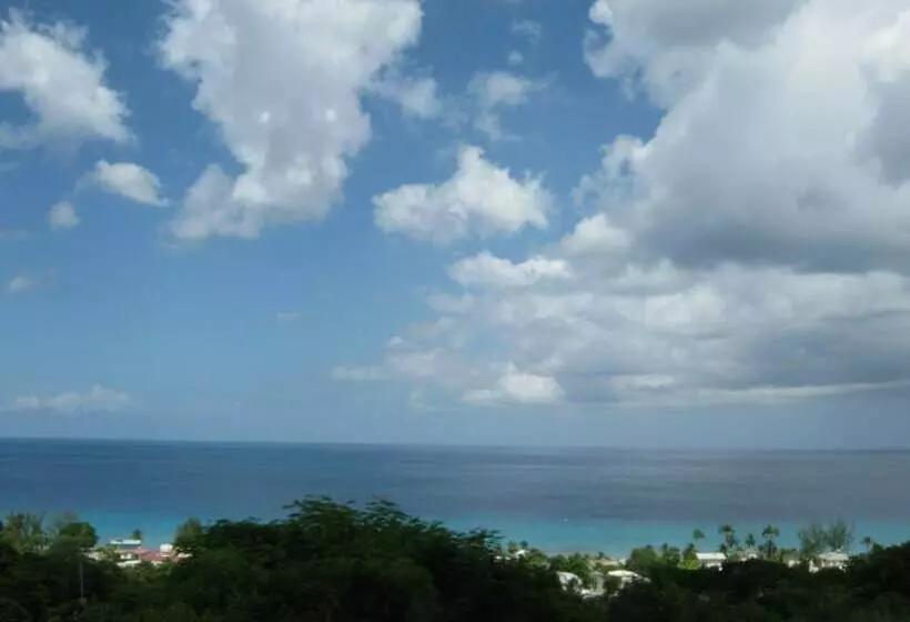 هتل Winchelsea Guesthouse