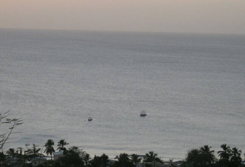 هتل Winchelsea Guesthouse