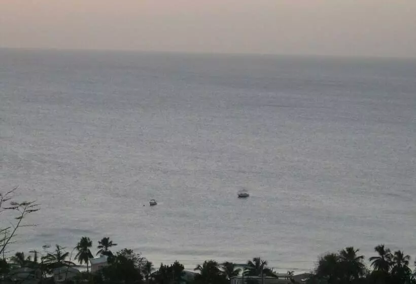 هتل Winchelsea Guesthouse