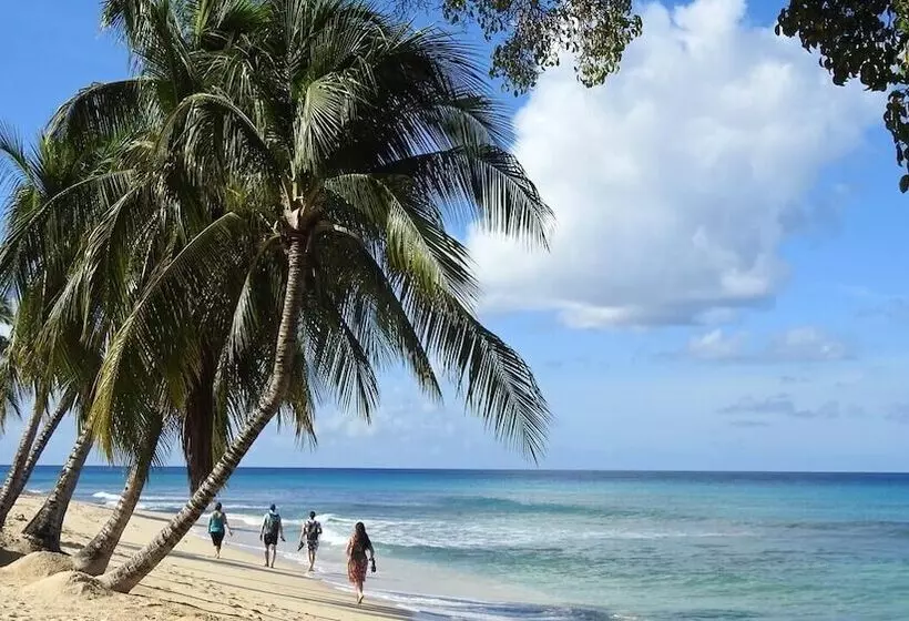 هتل Winchelsea Guesthouse