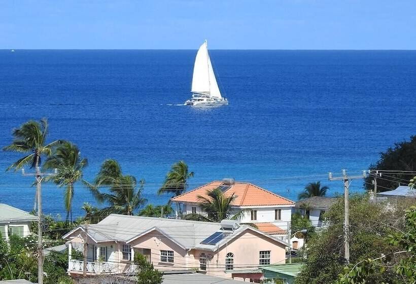 هتل Winchelsea Guesthouse