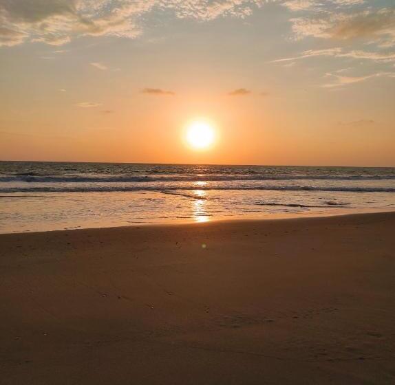 بنسيون Hostal Las Garzas Del Pelado