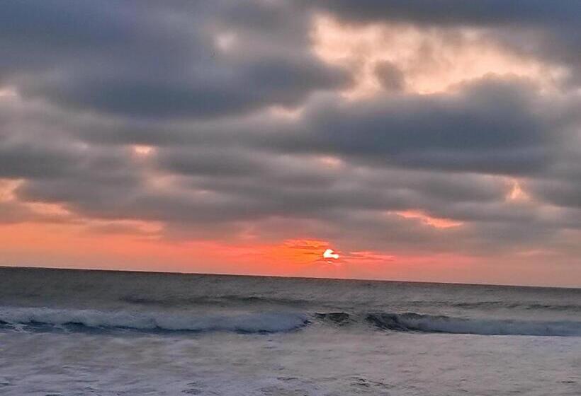 بنسيون Hostal Las Garzas Del Pelado
