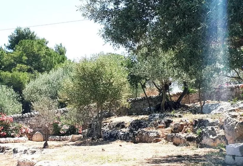 Agriturismo Serrafiori