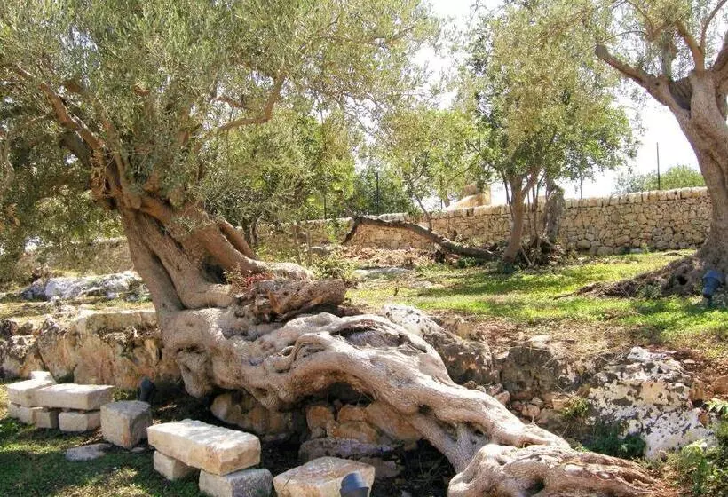 Agriturismo Serrafiori